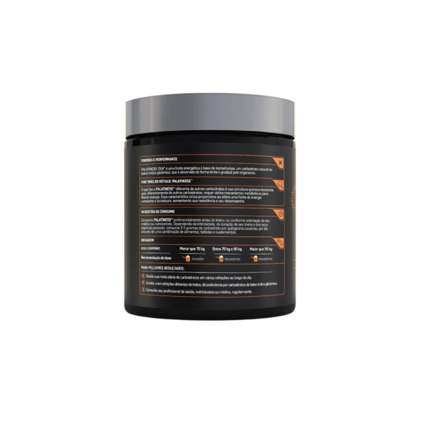 Palatinose | 400g - DUX - Imagem 2